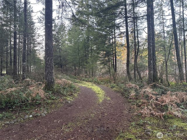 231 W Simpson Street, Shelton, WA 98584