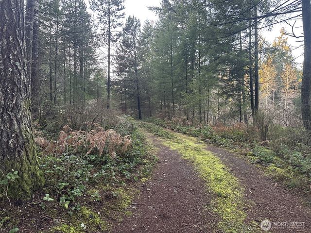 231 W Simpson Street, Shelton, WA 98584