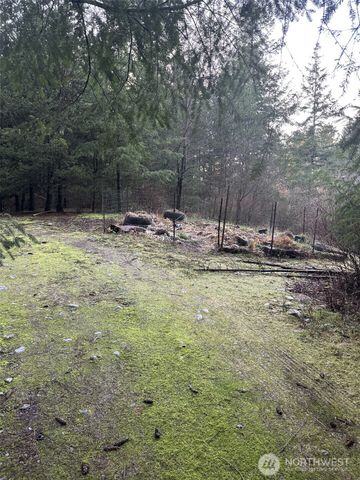 231 W Simpson Street, Shelton, WA 98584