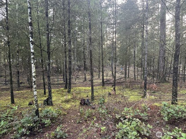 231 W Simpson Street, Shelton, WA 98584