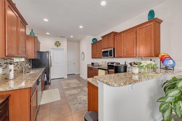 20215 NATURES SPIRIT DRIVE, Tampa, FL 33647