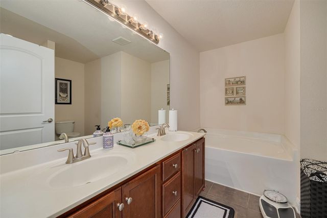 20215 NATURES SPIRIT DRIVE, Tampa, FL 33647