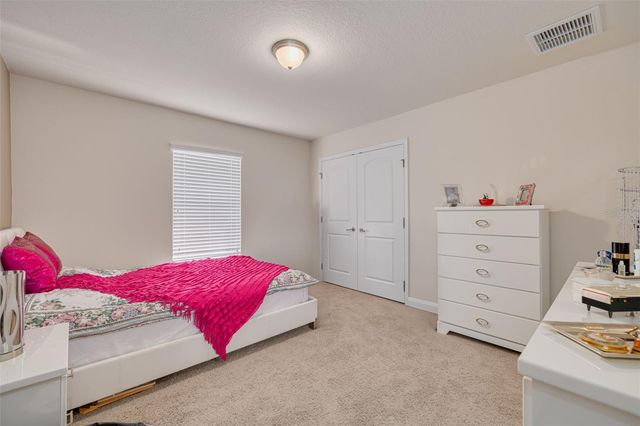 20215 NATURES SPIRIT DRIVE, Tampa, FL 33647