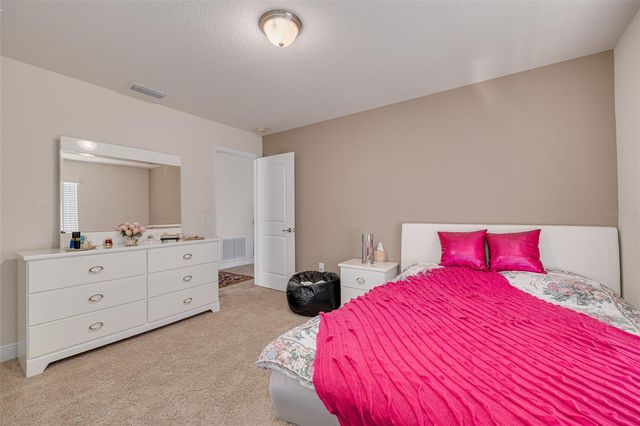 20215 NATURES SPIRIT DRIVE, Tampa, FL 33647