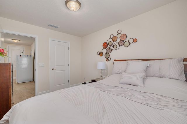 20215 NATURES SPIRIT DRIVE, Tampa, FL 33647