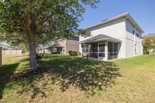 20215 NATURES SPIRIT DRIVE, Tampa, FL 33647