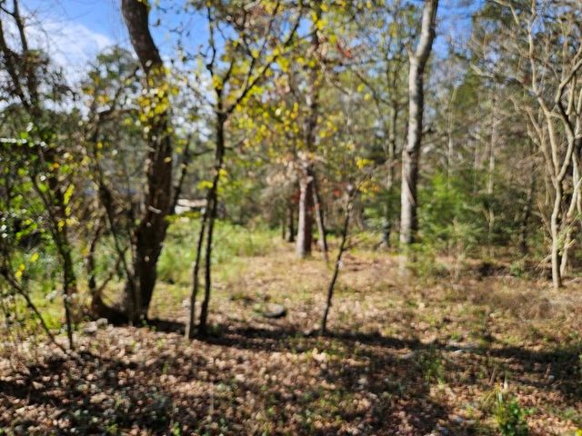 00 Coaltown Road, Willis, TX 77301