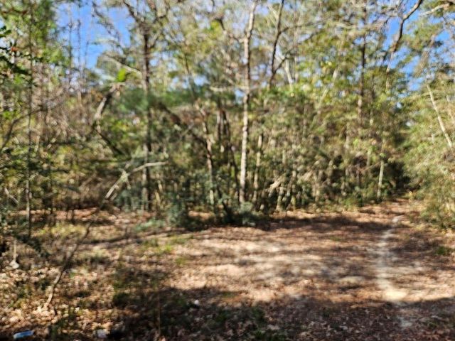 00 Coaltown Road, Willis, TX 77301