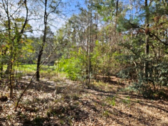 00 Coaltown Road, Willis, TX 77301