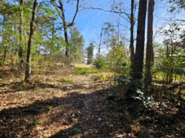 00 Coaltown Road, Willis, TX 77301