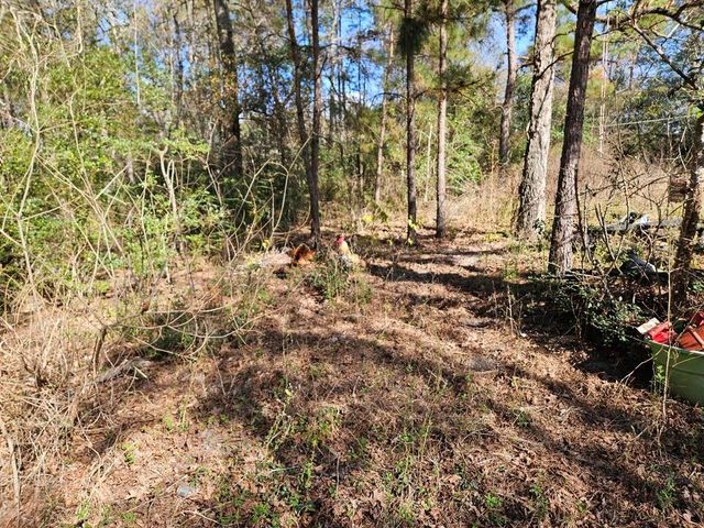 00 Coaltown Road, Willis, TX 77301