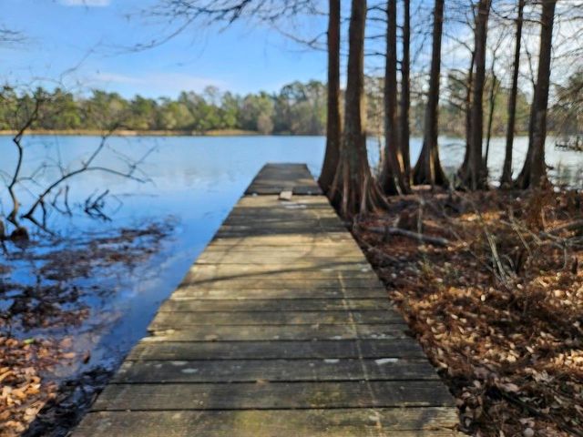 00 Coaltown Road, Willis, TX 77301