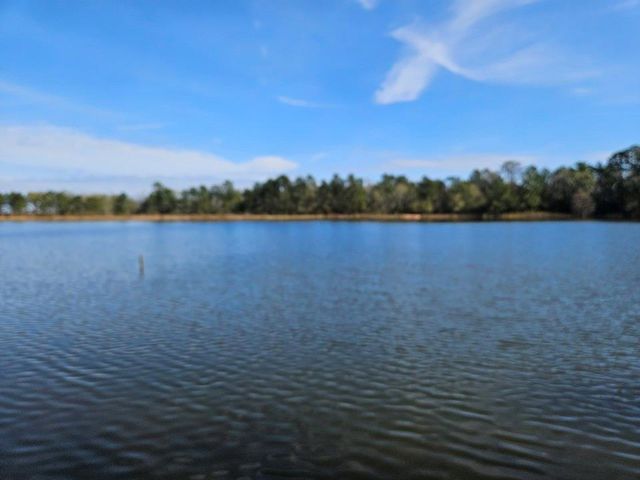 00 Coaltown Road, Willis, TX 77301