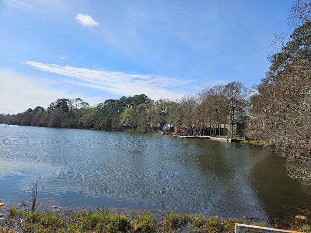 00 Coaltown Road, Willis, TX 77301