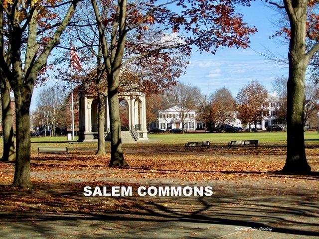 14 Lynde Street 2, Salem, MA 01970