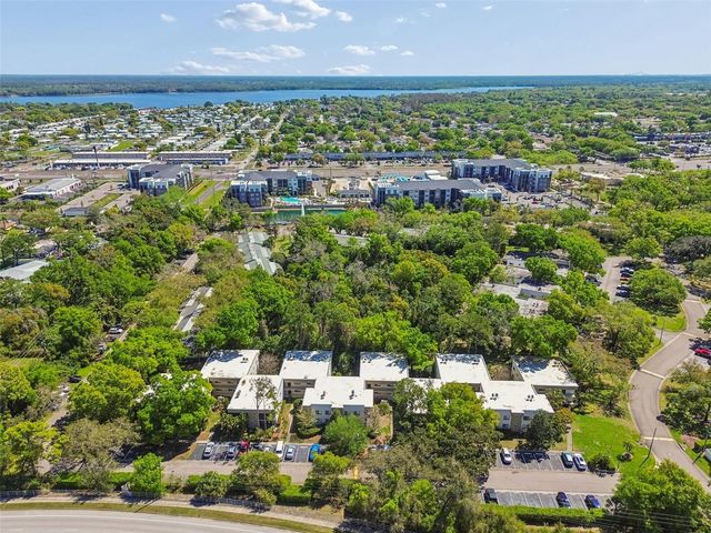 3300 FOX CHASE CIRCLE N 202, Palm Harbor, FL 34683