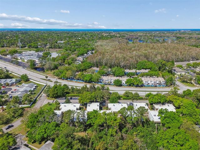 3300 FOX CHASE CIRCLE N 202, Palm Harbor, FL 34683