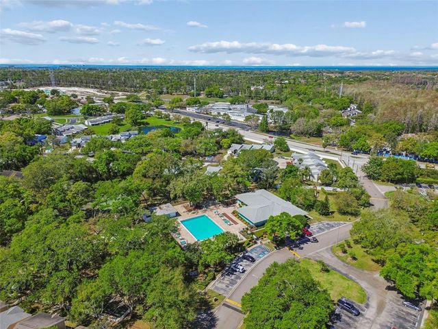 3300 FOX CHASE CIRCLE N 202, Palm Harbor, FL 34683