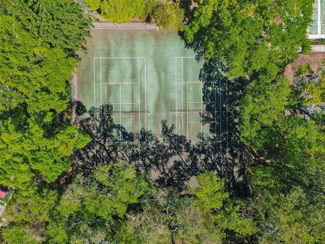 3300 FOX CHASE CIRCLE N 202, Palm Harbor, FL 34683