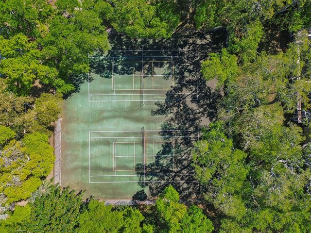 3300 FOX CHASE CIRCLE N 202, Palm Harbor, FL 34683