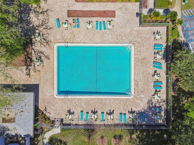 3300 FOX CHASE CIRCLE N 202, Palm Harbor, FL 34683