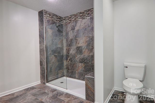 225 Sheepnose Drive, Lake Lure, NC 28746