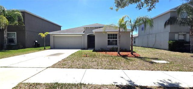 10033 CRESTED FRINGE DRIVE, Riverview, FL 33578