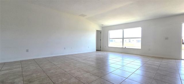 10033 CRESTED FRINGE DRIVE, Riverview, FL 33578