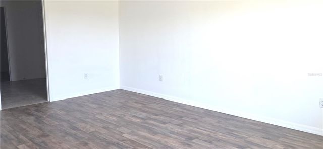 10033 CRESTED FRINGE DRIVE, Riverview, FL 33578