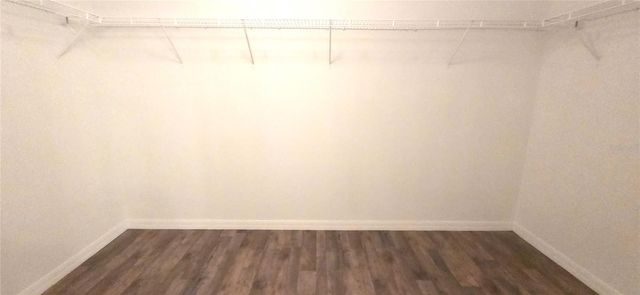 10033 CRESTED FRINGE DRIVE, Riverview, FL 33578