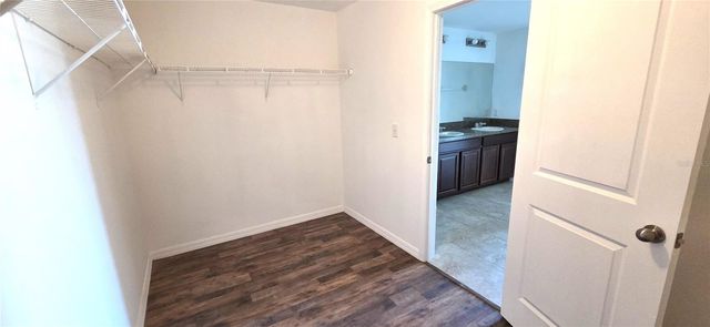 10033 CRESTED FRINGE DRIVE, Riverview, FL 33578