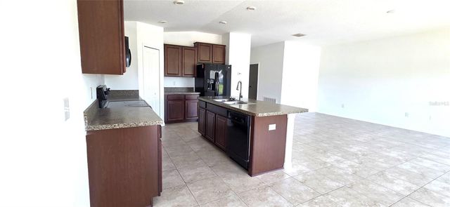 10033 CRESTED FRINGE DRIVE, Riverview, FL 33578