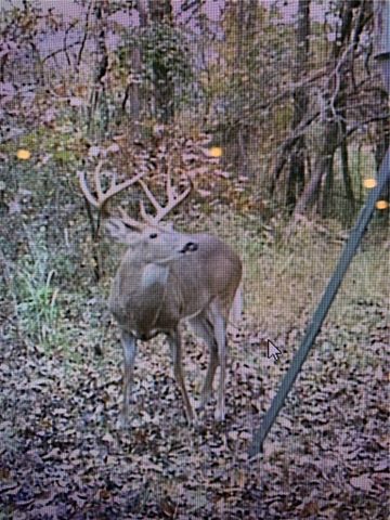 19055 Cove Creek Road, Prairie Grove, AR 72753