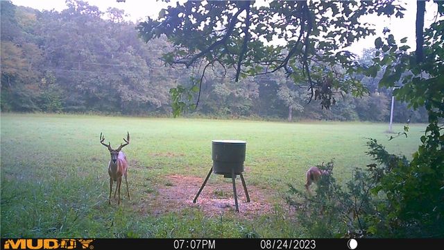 19055 Cove Creek Road, Prairie Grove, AR 72753