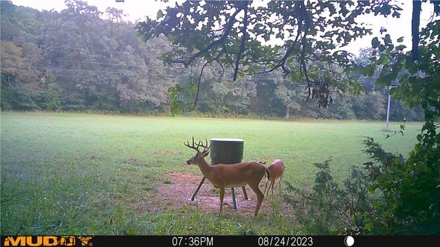 19055 Cove Creek Road, Prairie Grove, AR 72753