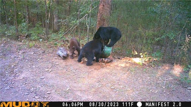 19055 Cove Creek Road, Prairie Grove, AR 72753