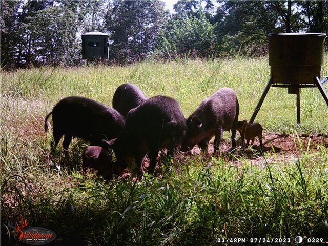 19055 Cove Creek Road, Prairie Grove, AR 72753