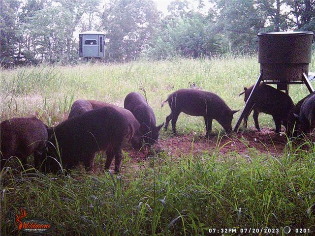 19055 Cove Creek Road, Prairie Grove, AR 72753