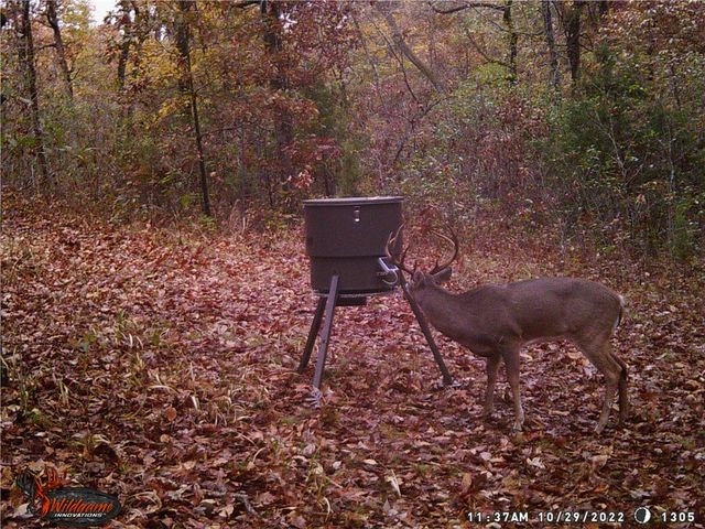 19055 Cove Creek Road, Prairie Grove, AR 72753