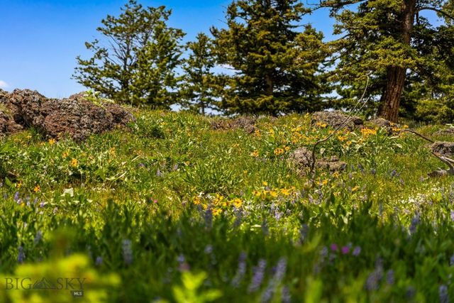 NHN Peak Point Drive Lot 1, Livingston, MT 59047