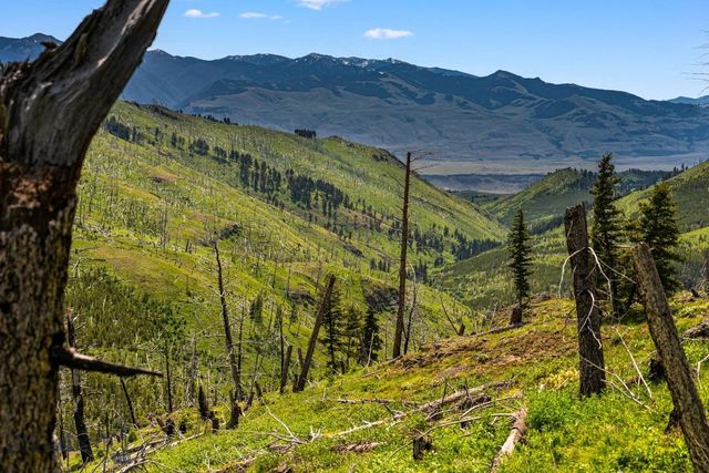 NHN Peak Point Drive Lot 1, Livingston, MT 59047