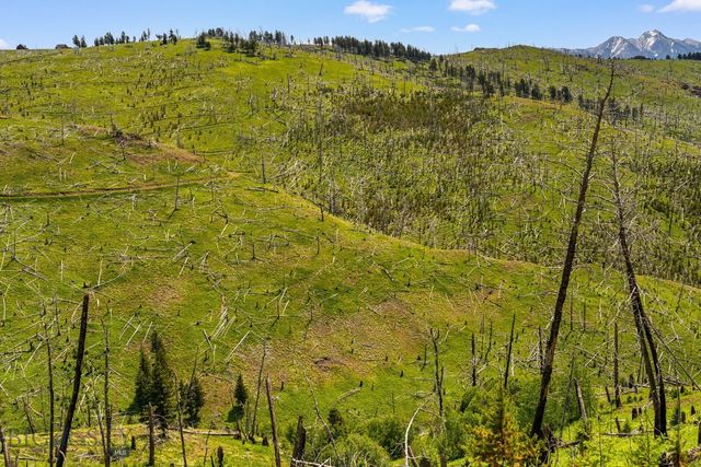 NHN Peak Point Drive Lot 1, Livingston, MT 59047