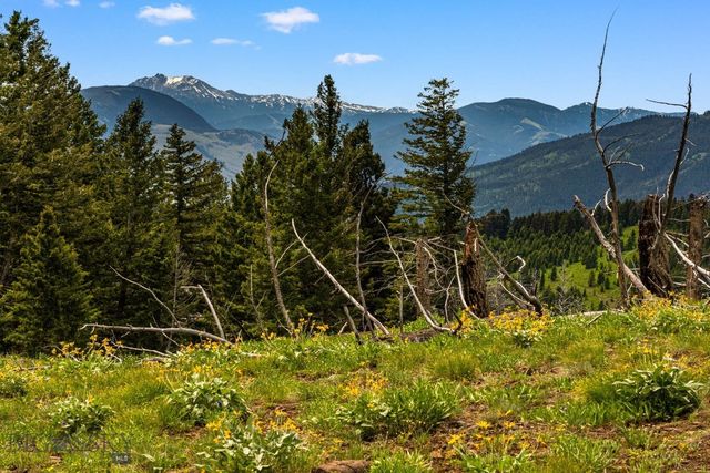 NHN Peak Point Drive Lot 1, Livingston, MT 59047