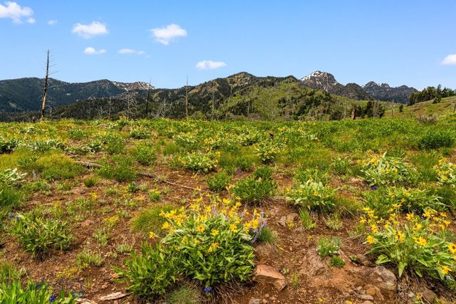 NHN Peak Point Drive Lot 1, Livingston, MT 59047