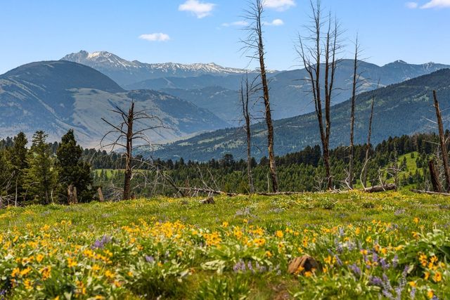 NHN Peak Point Drive Lot 1, Livingston, MT 59047