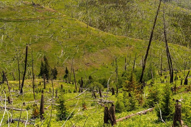 NHN Peak Point Drive Lot 1, Livingston, MT 59047