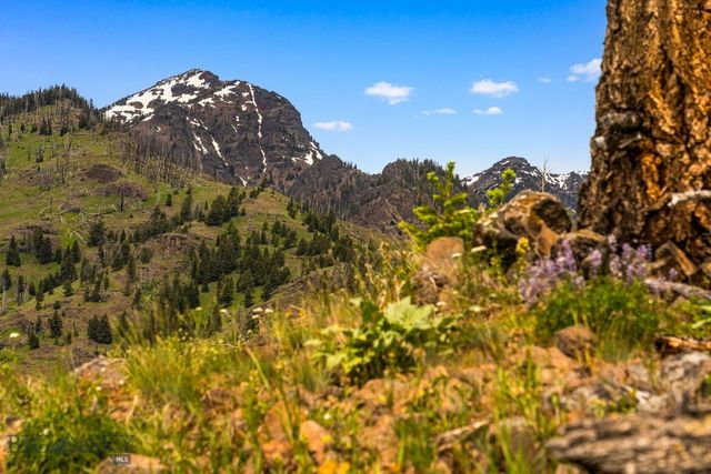 NHN Peak Point Drive Lot 1, Livingston, MT 59047