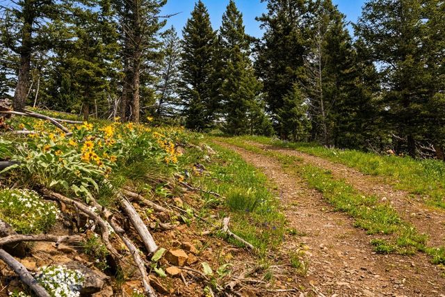 NHN Peak Point Drive Lot 1, Livingston, MT 59047