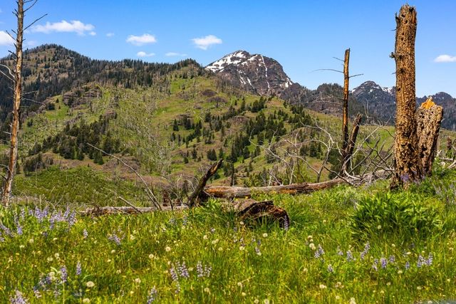 NHN Peak Point Drive Lot 1, Livingston, MT 59047