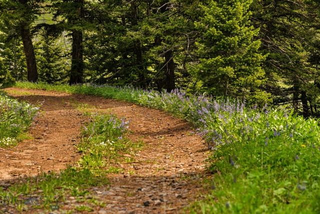NHN Peak Point Drive Lot 1, Livingston, MT 59047